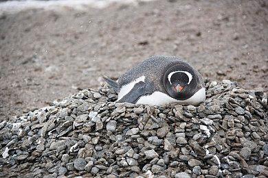 暴雪：现在玩家在《守望先锋2》里说noob不会被封了